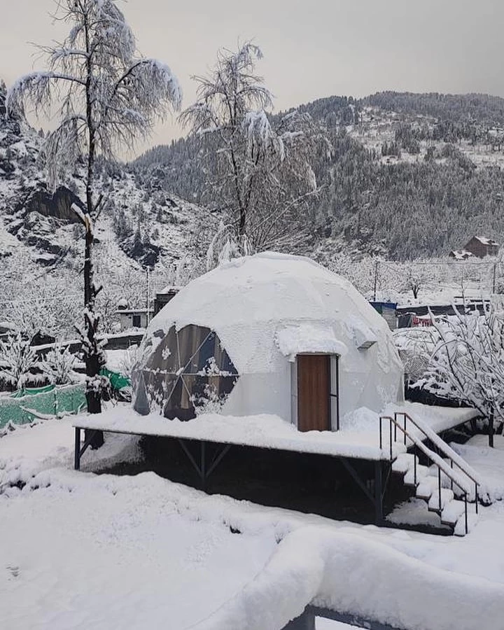 snow covered view